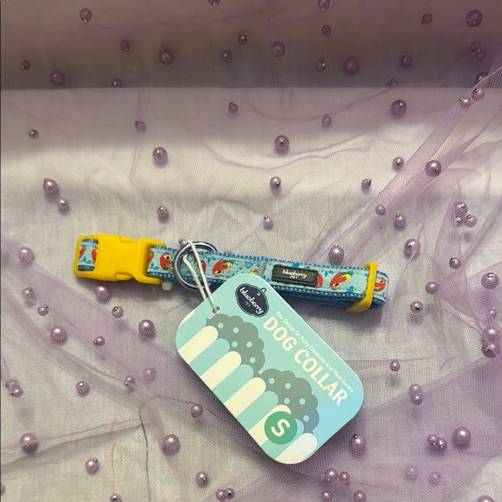 Blue and Yellow Dog Collar